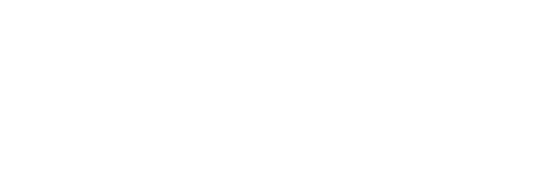 Health‑themed logo for Wolff Chiropractic displaying a circular icon